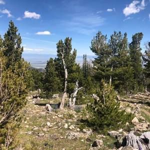 Meet your Posher, Danyella